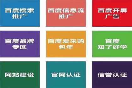 百度竞价代理的客户案例：如何实现ROI最大化